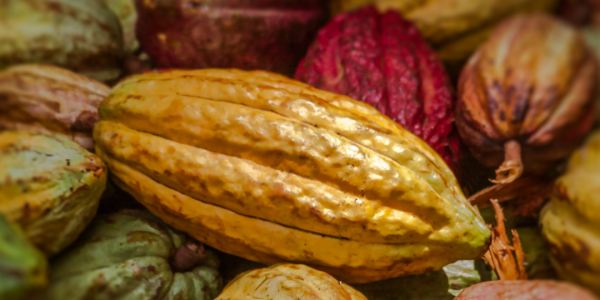 découvrez la différence malakoff : une exploration des spécificités et des atouts de cette commune française, alliant héritage culturel, dynamisme économique et cadre de vie agréable.