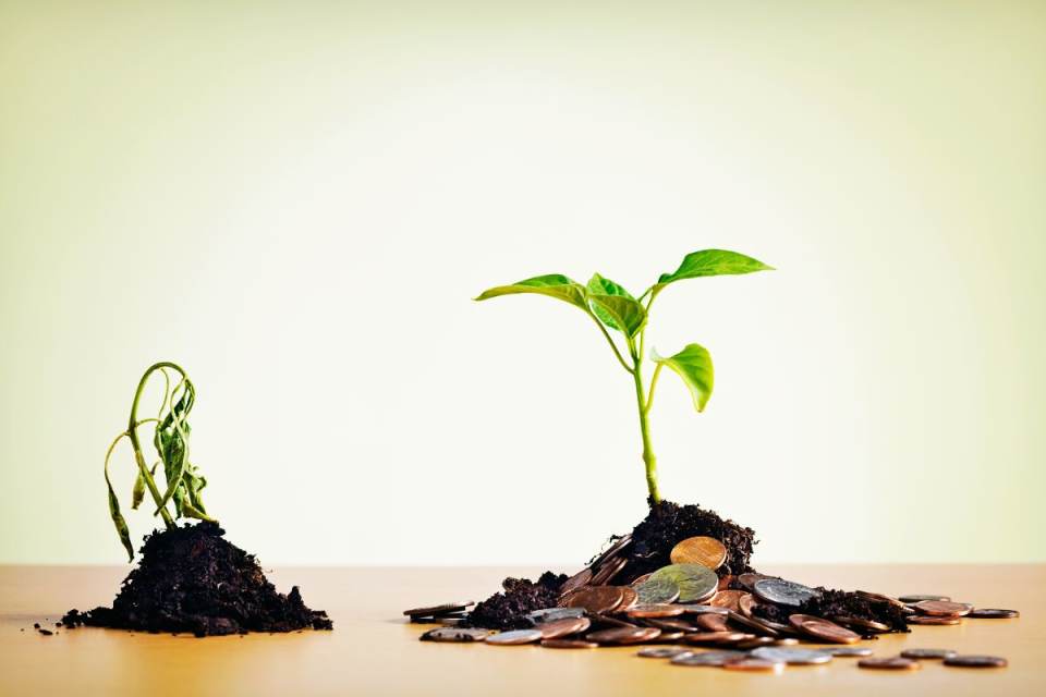 découvrez comment fonctionne une assurance décès, les différents types de contrats, les garanties offertes et comment choisir la meilleure option pour protéger vos proches en cas de décès.