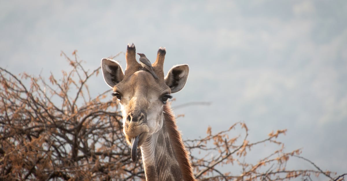 découvrez comment garantir une protection à long terme pour vos biens et votre tranquillité d'esprit. nos solutions innovantes vous offrent sécurité, durabilité et sérénité au quotidien.