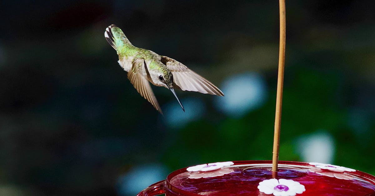 découvrez l'importance d'un comportement prudent dans la vie quotidienne. apprenez des stratégies pour prendre des décisions réfléchies et sécurisées, tout en minimisant les risques et en protégeant votre bien-être.