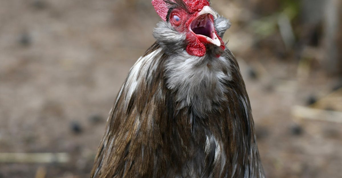 découvrez l'importance d'adopter un comportement prudent au quotidien. apprenez des conseils pratiques pour gérer les risques, prendre des décisions éclairées et assurer votre sécurité tout en préservant votre bien-être. explorez nos ressources pour développer une attitude réfléchie face aux incertitudes de la vie.